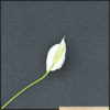Купоны 0.75х0.75 — изображение 6