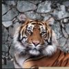 Купоны 0.75х0.75 — изображение 37