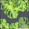 Купоны 0.75х0.75 — изображение 33